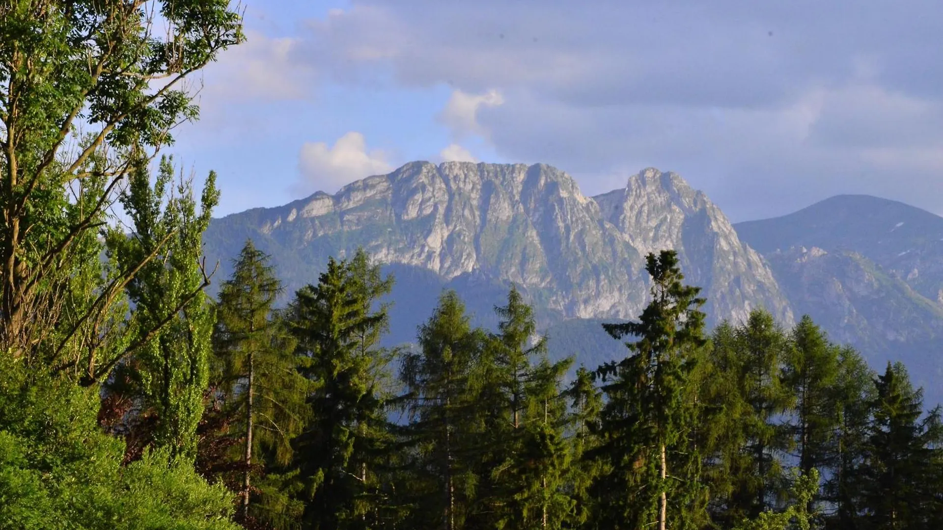 Chata Walczakow -Blue Cave Cottage Zakopane